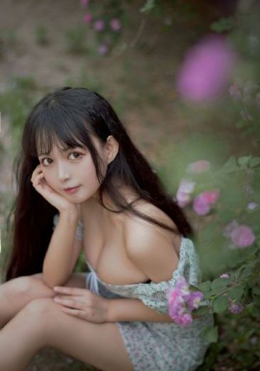 虎鹤妖师录动漫免费观看