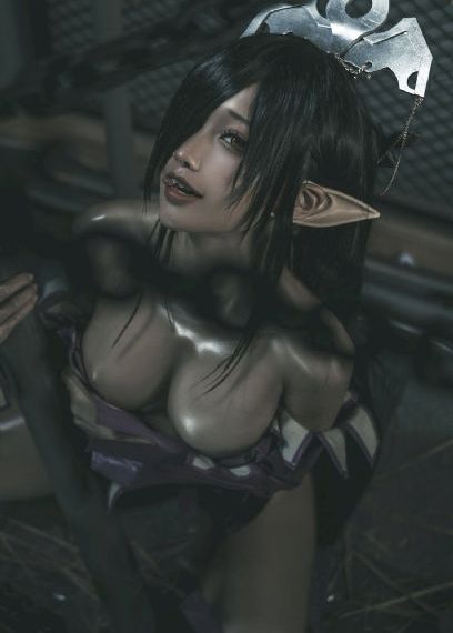 一条狗的使命