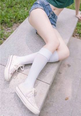 金瓶风月