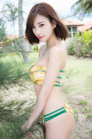 燕赵刑警下载