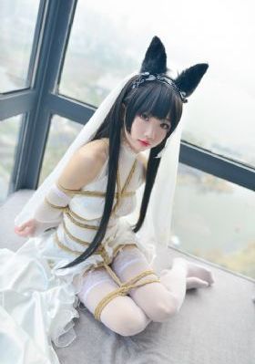 白夜追凶免费观看电视剧完整版