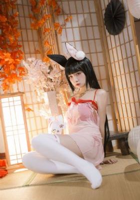 妻子的朋友