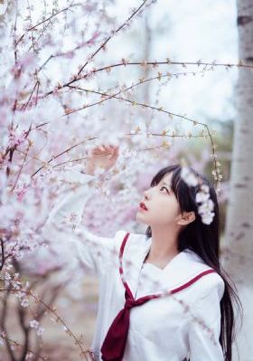 龙王殿萧阳短剧免费观看