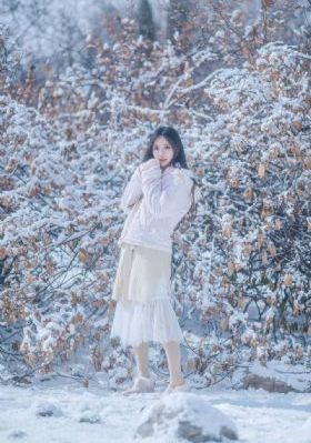 铁齿铜牙第五部免费观看